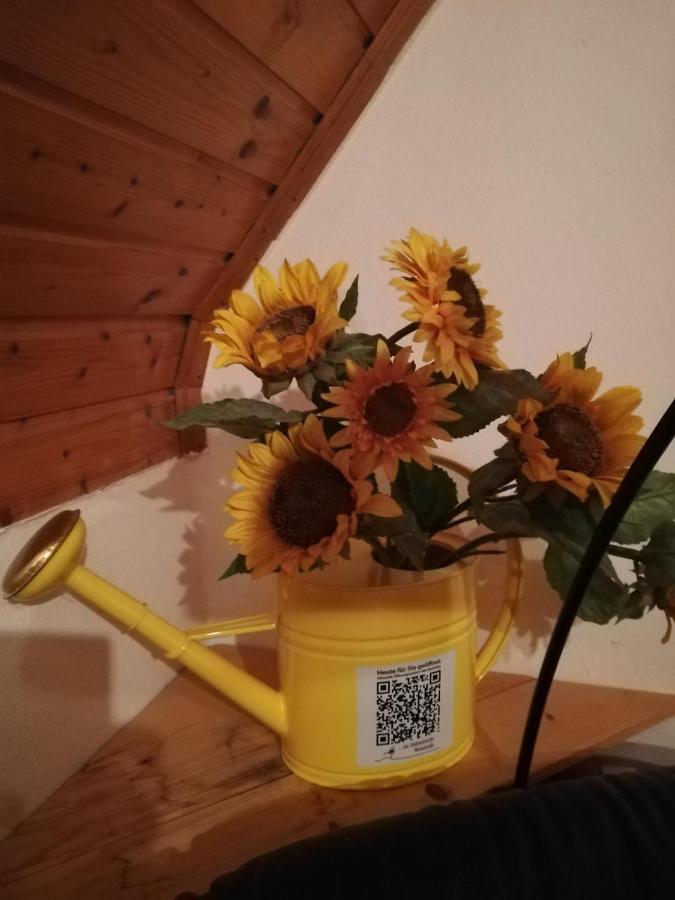 Apartament Kogelhuber Possnitz Zewnętrze zdjęcie