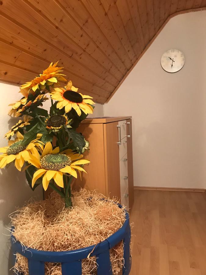 Apartament Kogelhuber Possnitz Zewnętrze zdjęcie